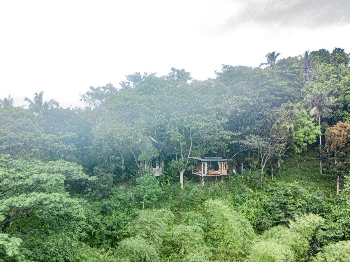 Bird Hills Bamboo House Villa Karangasem Eksteriør bilde